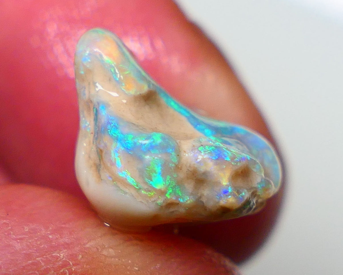 Lightning Ridge Rough Opal 6.00cts Crystal Base Gamble Knobby formation Gorgeous Green/Blues 13x12x7mm NS307