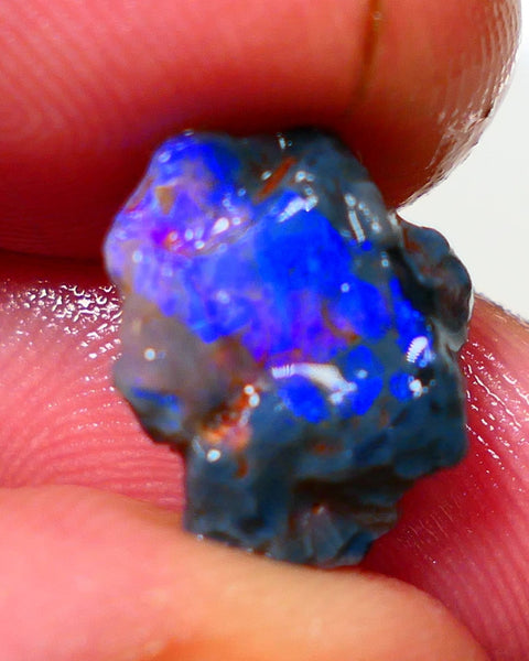 Lightning Ridge Rough Opal 3.50cts Black Crystal Base Knobby formation Gorgeous Royal Blues 14x9x6mm NS308