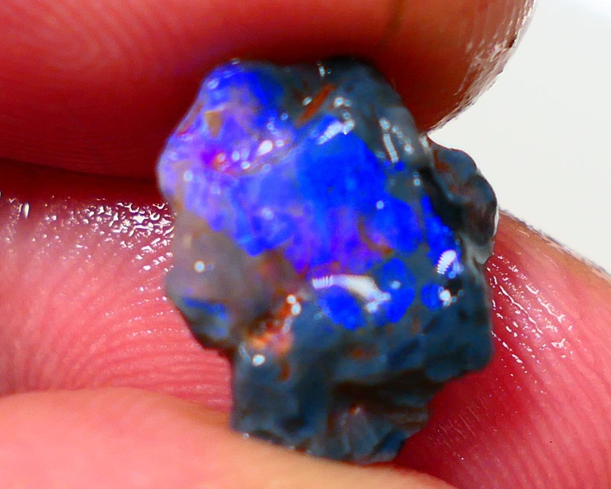 Lightning Ridge Rough Opal 3.50cts Black Crystal Base Knobby formation Gorgeous Royal Blues 14x9x6mm NS308