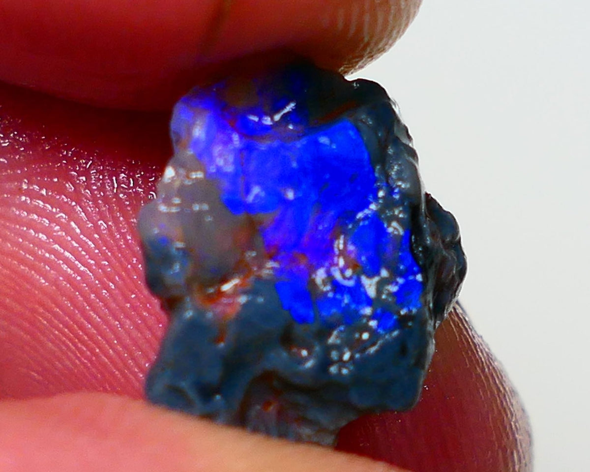 Lightning Ridge Rough Opal 3.50cts Black Crystal Base Knobby formation Gorgeous Royal Blues 14x9x6mm NS308