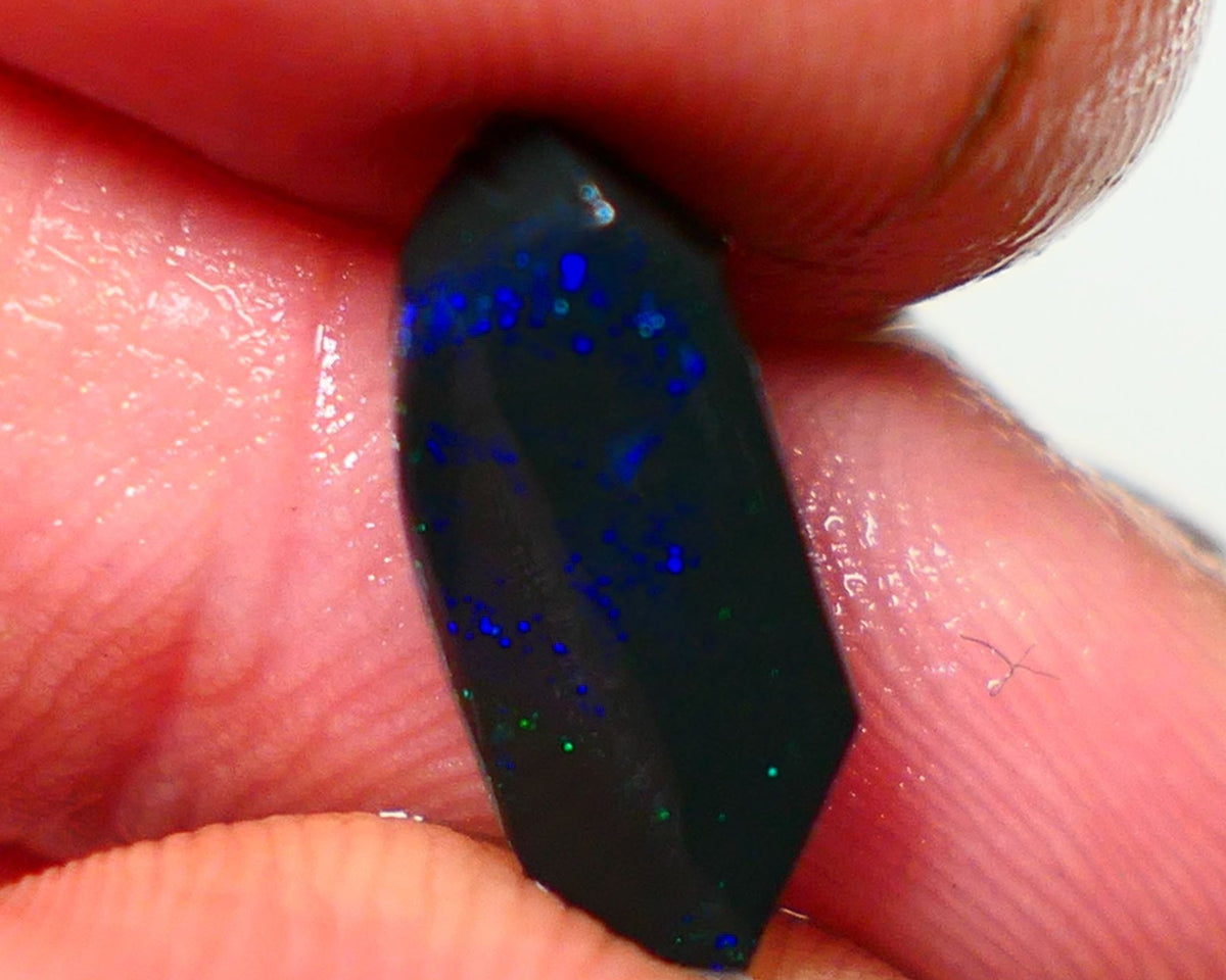 Lightning Ridge Rough / Rub Black opal Miners Bench® 2.25cts Galaxy Sparkles of Greens & Blues 14x6x4mm NS327