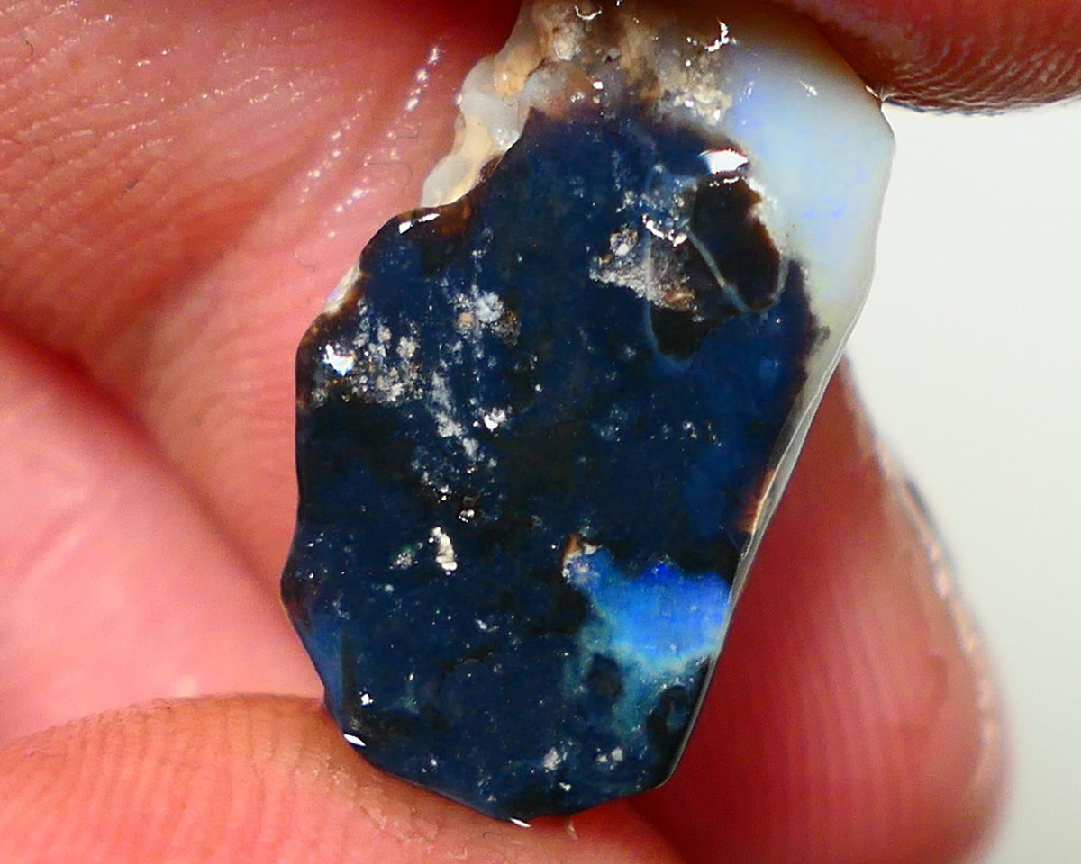 Lightning Ridge Rough Opal 5.75cts Dark Base Seam Bits Blue to gamble 21x11x4mm NS326