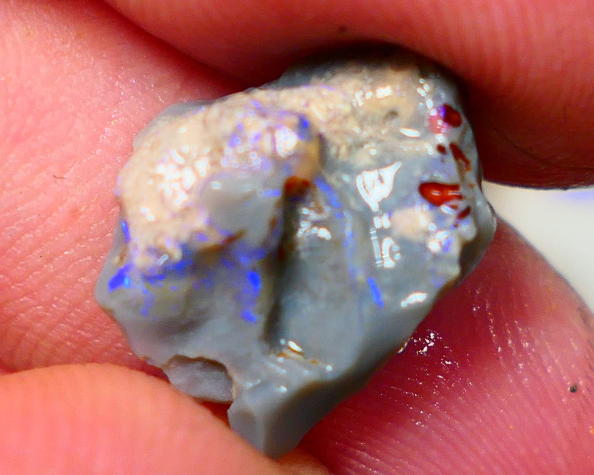 Lightning Ridge Rough Opal 5.25cts Dark Base Knobby Bright Blue Bar to gamble 16x13x7mm NS323