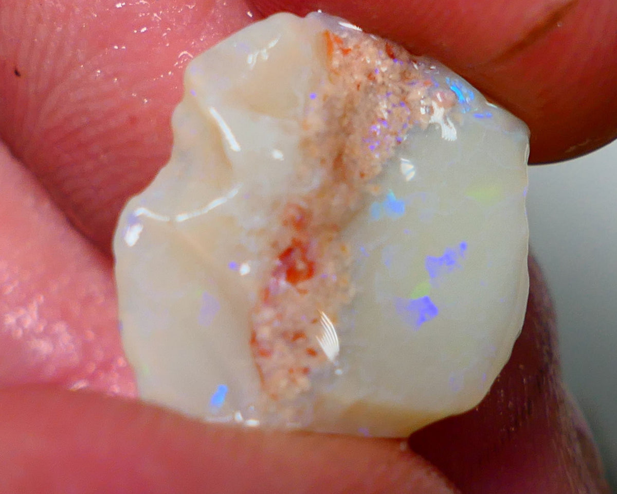 Lightning Ridge Opal Light / Grey Base Seam Rough Rub 8.70cts Bits of Multi colour Confetti pattern 17x16x6mm NS319