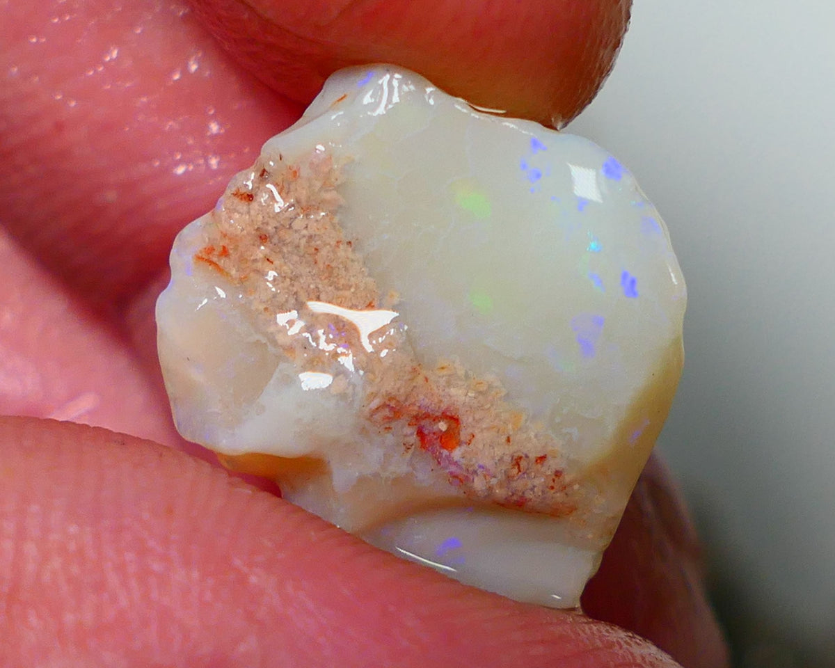 Lightning Ridge Opal Light / Grey Base Seam Rough Rub 8.70cts Bits of Multi colour Confetti pattern 17x16x6mm NS319