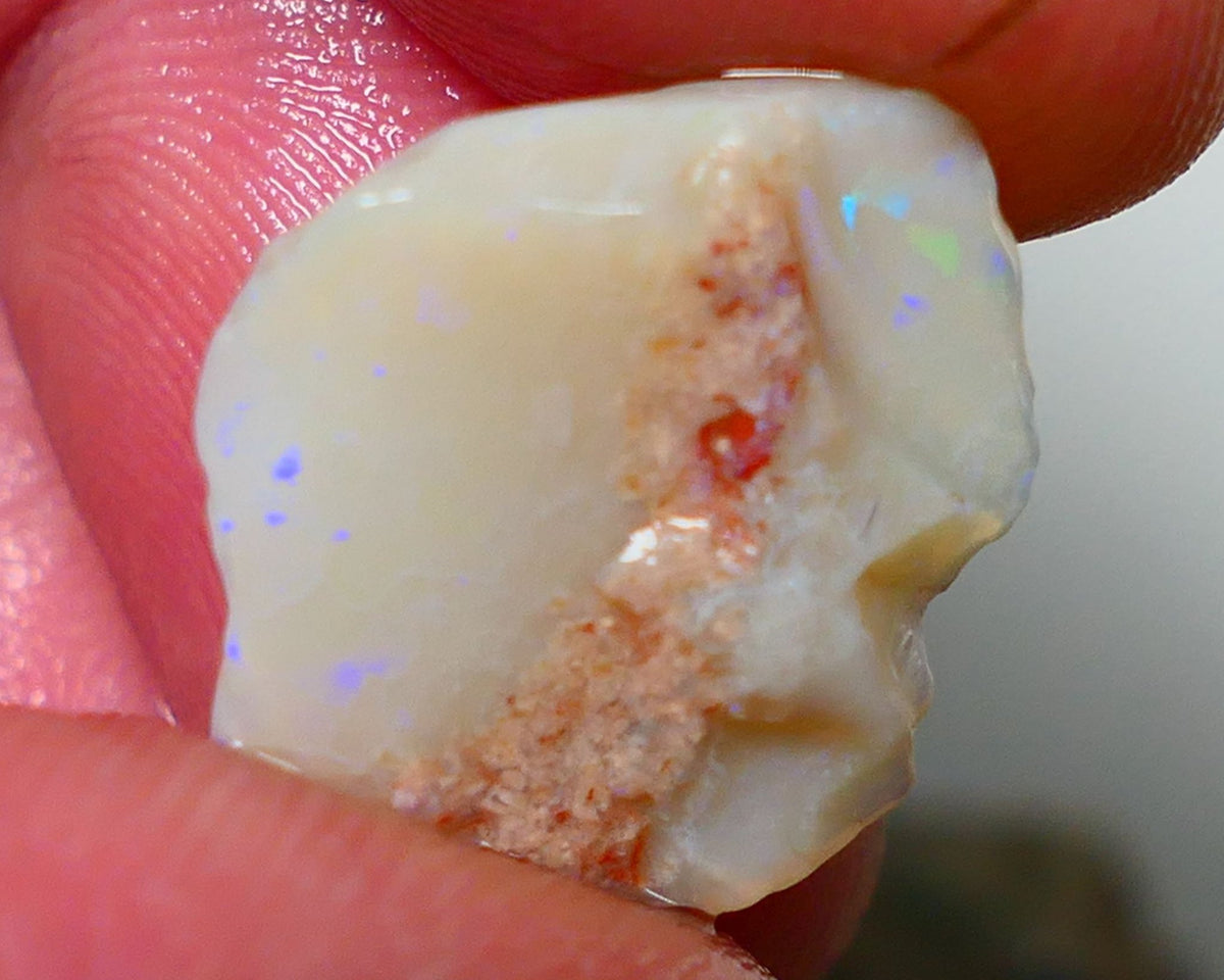 Lightning Ridge Opal Light / Grey Base Seam Rough Rub 8.70cts Bits of Multi colour Confetti pattern 17x16x6mm NS319