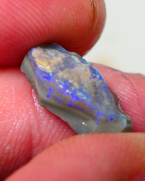 Lightning Ridge Rough Opal 4.00cts Dark Base Seam Bright Vibrant Gorgeous Green / Teal / Blue Bar to Cut 16x9x5mm NS318