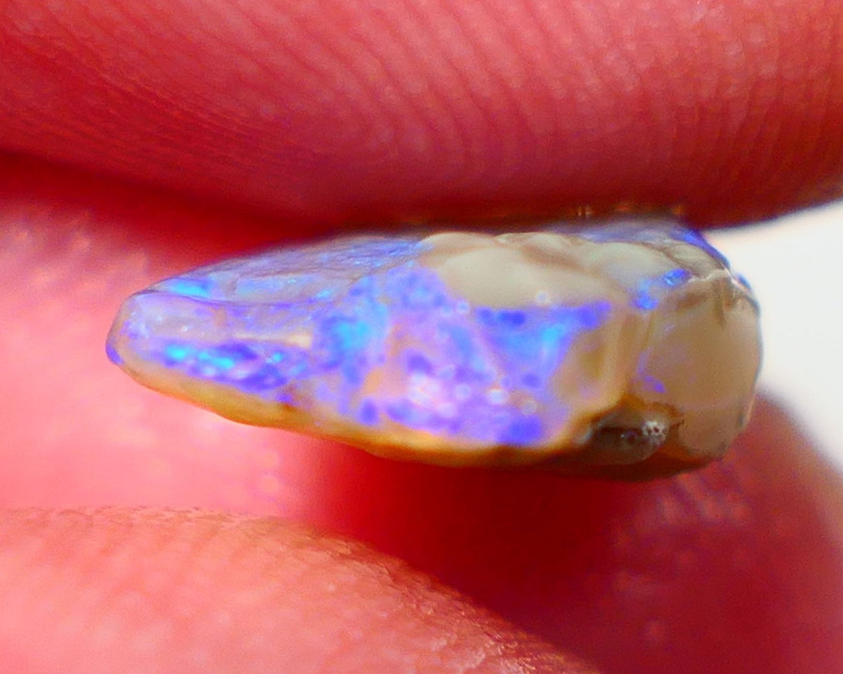 Lightning Ridge Rough Opal 3.75cts Dark Base Seam Bright Vibrant Gorgeous Teal / Blue Bar to Cut 12x9x4mm NS315