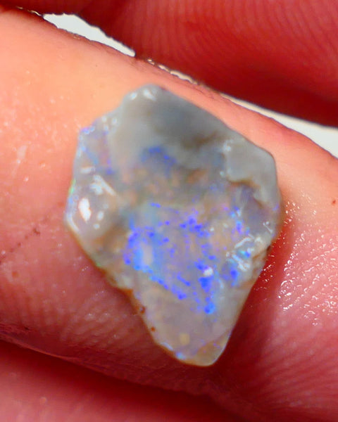 Lightning Ridge Rough Rub Directional Opal 2.30cts Dark Base Seam Blue Fires exposed to face 12x11x3mm NS314