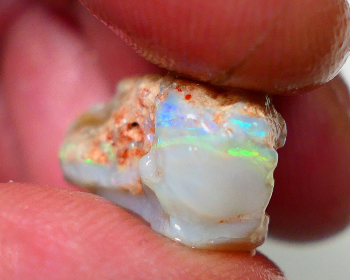 Lightning Ridge Rough Opal 10.00cts Grey base Seam showing Yellow/Green Dominant M.colours to gamble cut 20x11x10mm NS338