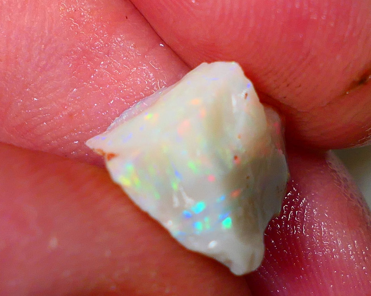 Lightning Ridge Rough Opal 5.25cts Light base Seam showing Bright Gorgeous M.colours 12x12x9mm NS333