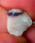 Lightning Ridge Rough Opal 4.15cts Light base Seam showing Green / BLue Dominant M.colours 14x13x4mm NS332