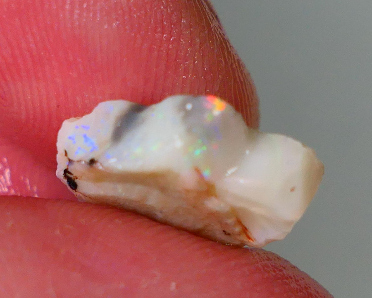 Lightning Ridge Rough Opal 6.25cts Light base Seam showing Orange Dominant M.colours 17x11x4mm NS329