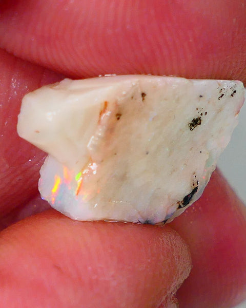 Lightning Ridge Rough Opal 6.25cts Light base Seam showing Orange Dominant M.colours 17x11x4mm NS329