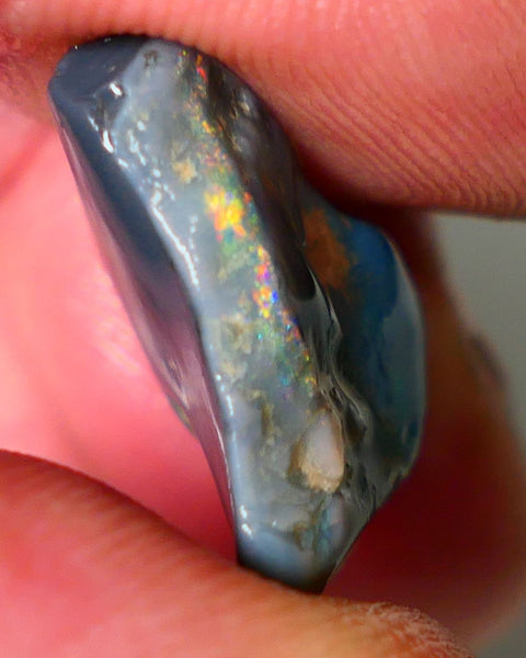 Mulga Rough Opal Gamble 12cts Dark Base Seam Blue Orange Dominant fires to gamble 20x6x9mm NS344