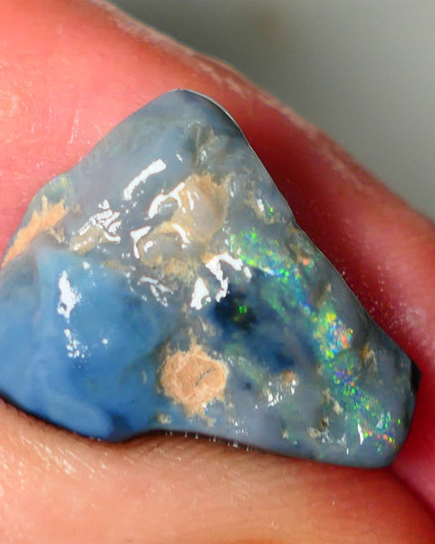 Mulga Rough Opal Gamble 12cts Dark Base Seam Blue Orange Dominant fires to gamble 20x6x9mm NS344