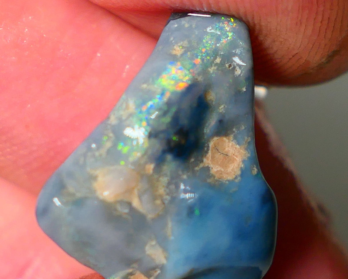 Mulga Rough Opal Gamble 12cts Dark Base Seam Blue Orange Dominant fires to gamble 20x6x9mm NS344