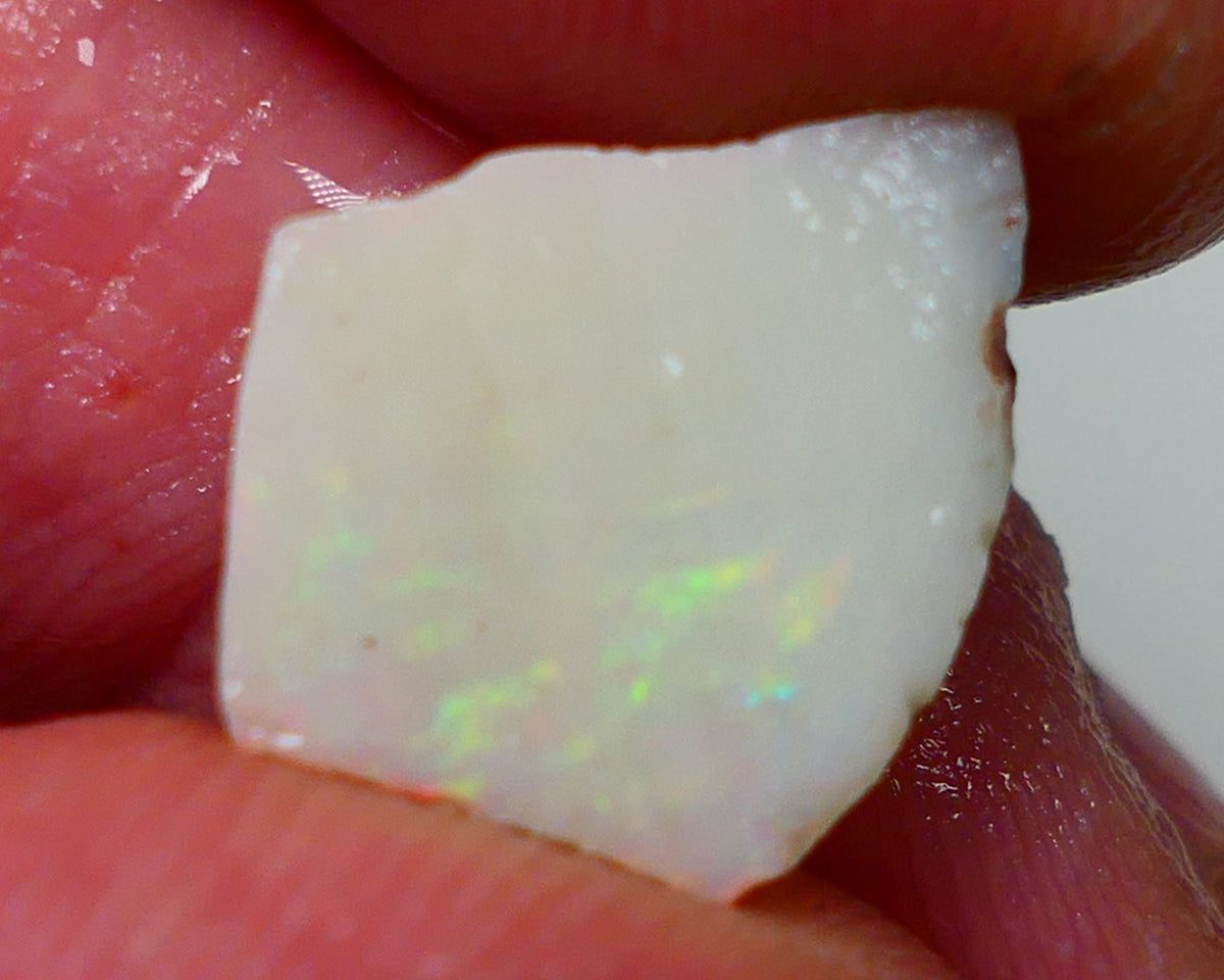 Lightning Ridge Rough Opal Gamble Auction 13 13x12x3mm 4.00cts