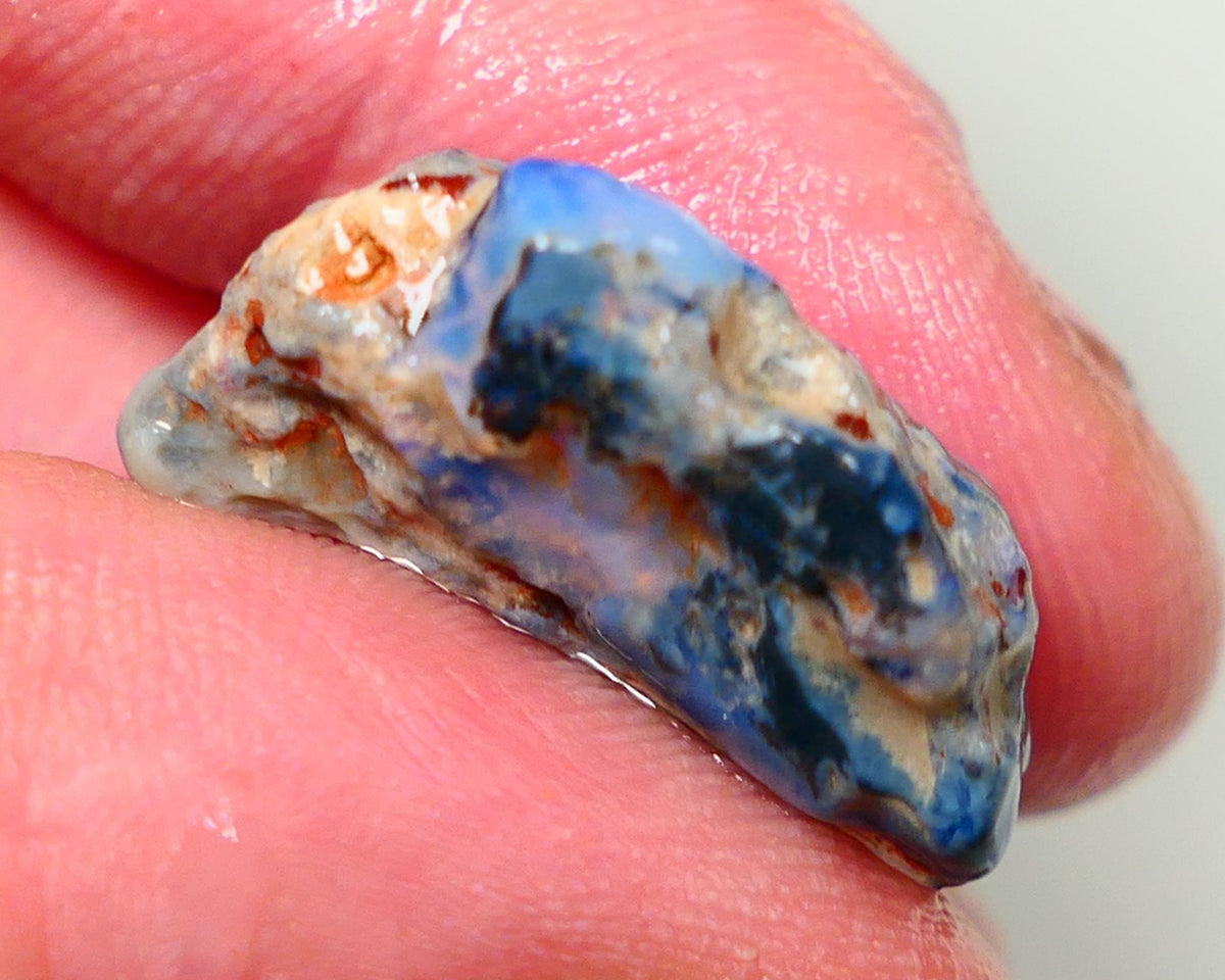 Lightning Ridge Rough Opal Gamble Auction  23x13x8mm 12cts