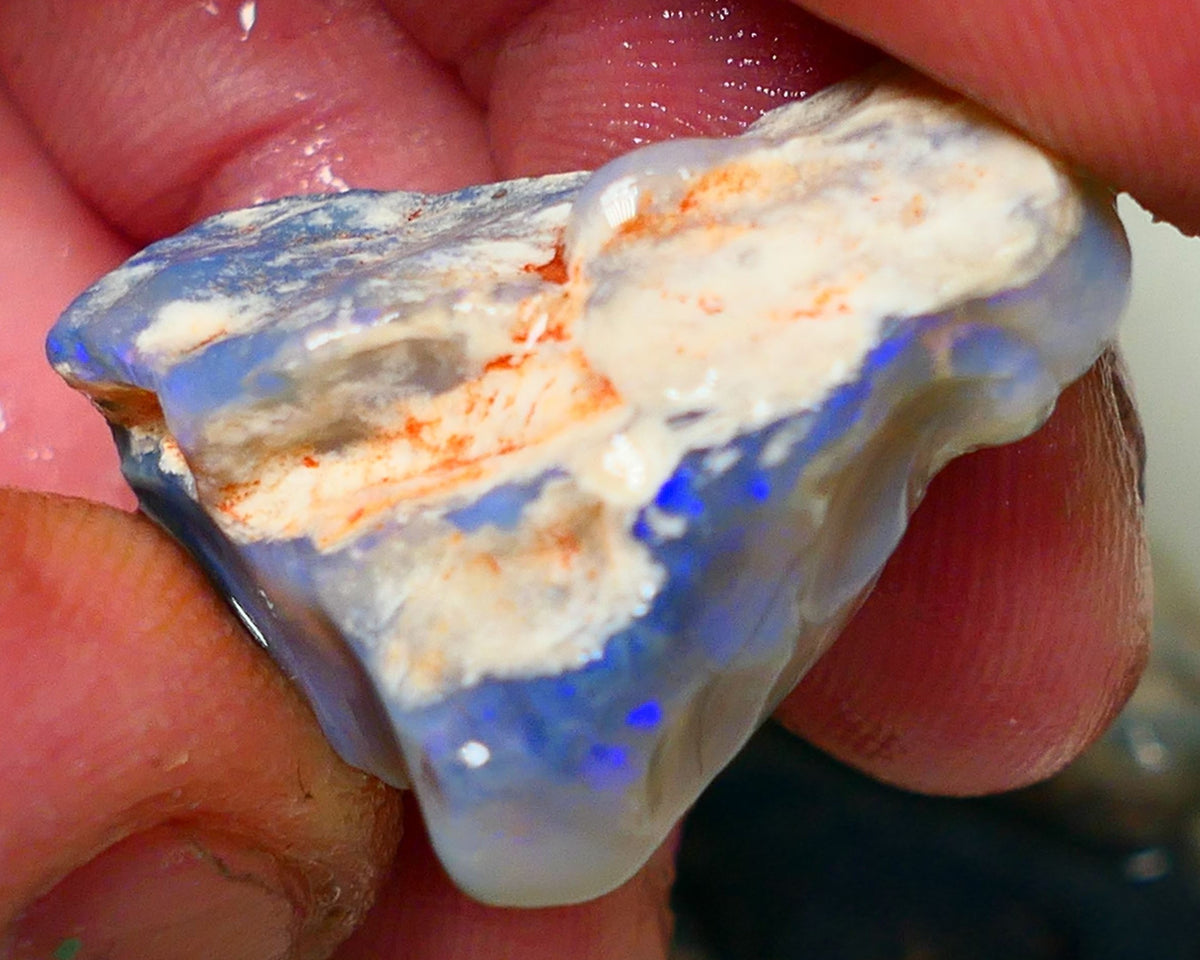 Lightning Ridge Rough Opal Gamble Auction6   35.00cts 29x23x11mm