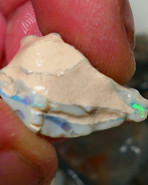 Lightning Ridge Rough Opal Gamble Auction 3   23.00cts 25x20x13mm