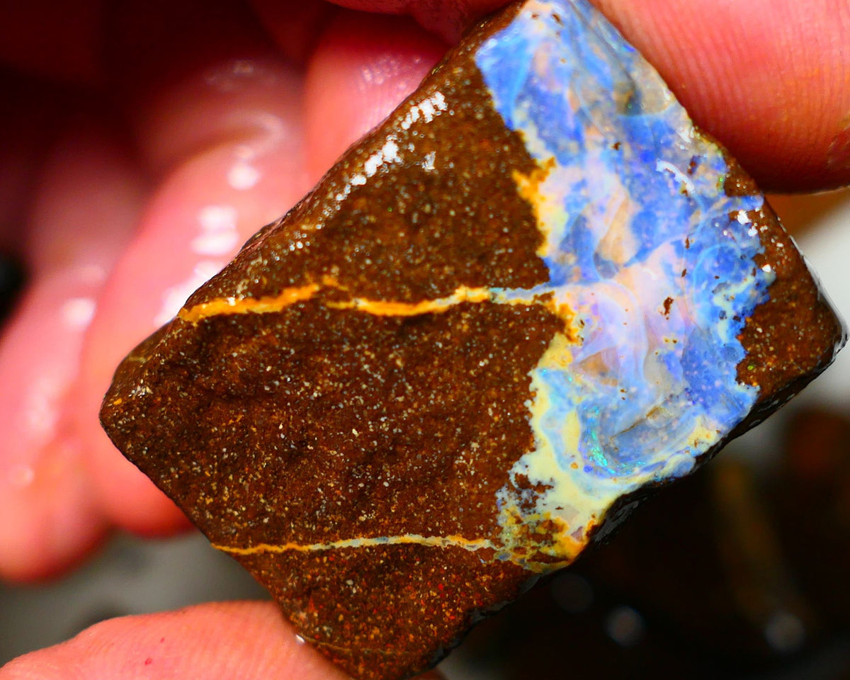 Queensland Boulder / Matrix opal 105cts rough Winton Bright Blue fires show plenty to go at here 32x25x14mm ALP002