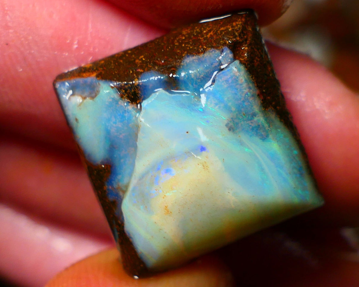 Queensland Boulder / Matrix opal 21cts rough/rub Winton Some Blue fires showing 19x19x7mm  ALP004