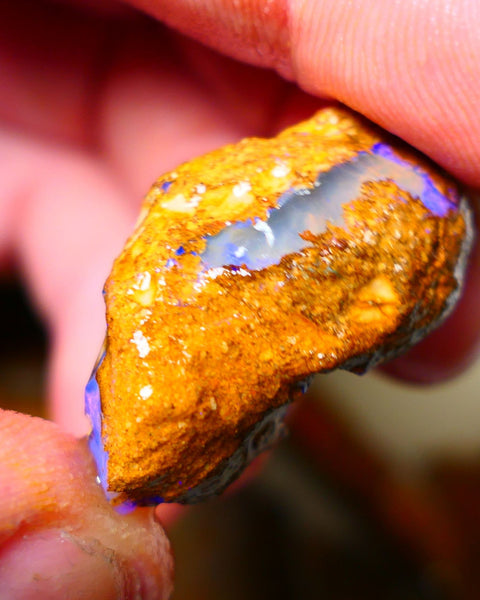 Queensland Sandy Ironstone Boulder opal nodule Showing lots of Bright Blue colours ALP0