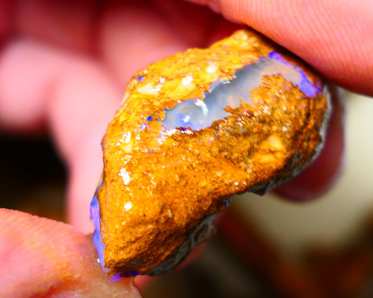 Queensland Sandy Ironstone Boulder opal nodule Showing lots of Bright Blue colours ALP0