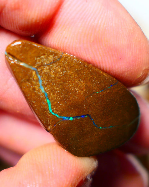 Queensland Boulder / Matrix opal 35cts Big rough/rub Winton Bright Green & Blue fires showing 34x18x7mm ALP005