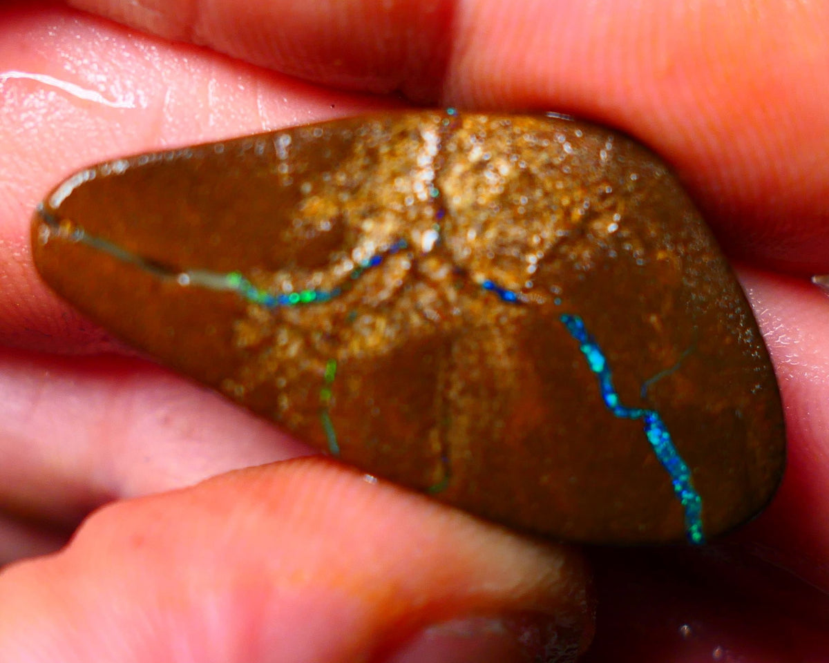 Queensland Boulder / Matrix opal 35cts Big rough/rub Winton Bright Green & Blue fires showing 34x18x7mm ALP005