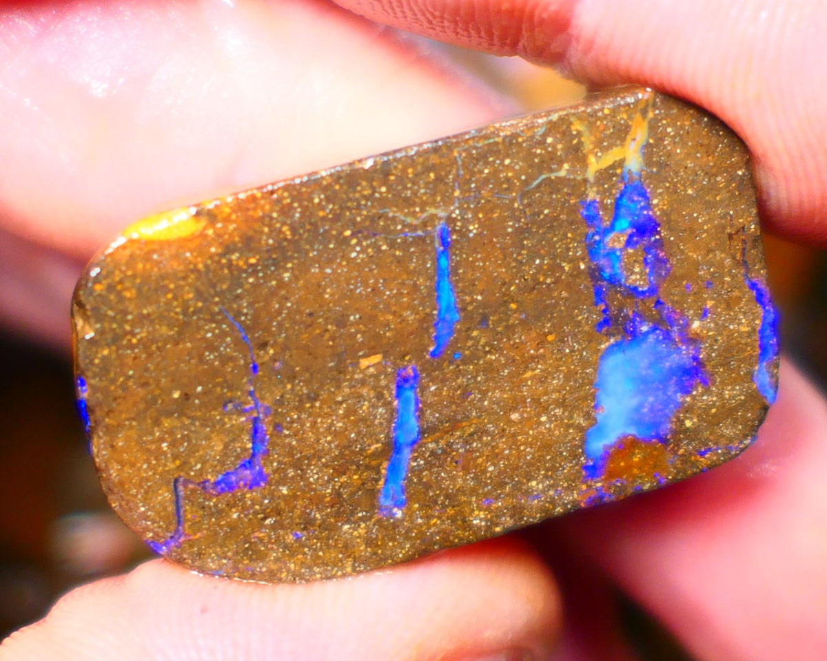 Queensland Boulder / Matrix opal 55cts rough/rub Winton Lots Bright Blue fires showing in a vein 34x19x7mm ALP014