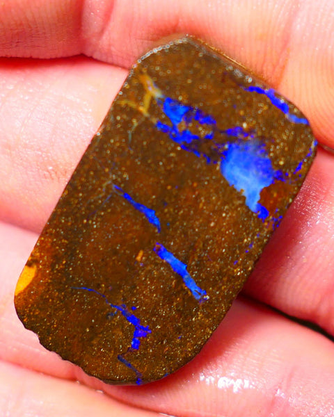 Queensland Boulder / Matrix opal 55cts rough/rub Winton Lots Bright Blue fires showing in a vein 34x19x7mm ALP014