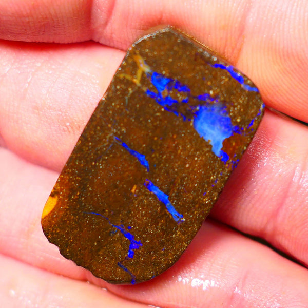 Queensland Boulder / Matrix opal 55cts rough/rub Winton Lots Bright Blue fires showing in a vein 34x19x7mm ALP014