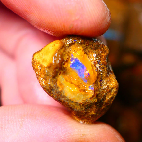 Queensland Ironstone Boulder opal nodule Showing Nice Bright Blue colours ALP0