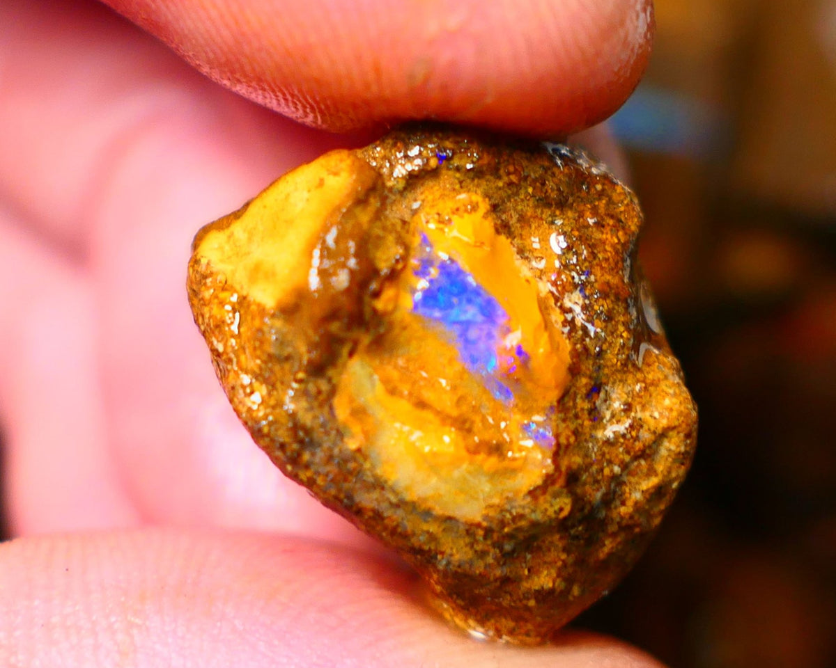 Queensland Ironstone Boulder opal nodule Showing Nice Bright Blue colours ALP0