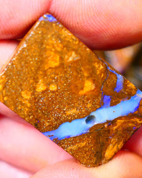 Queensland Boulder / Matrix opal 50cts rough/rub Winton Bright Blue fires showing in a vein 31x20x7mm ALP011