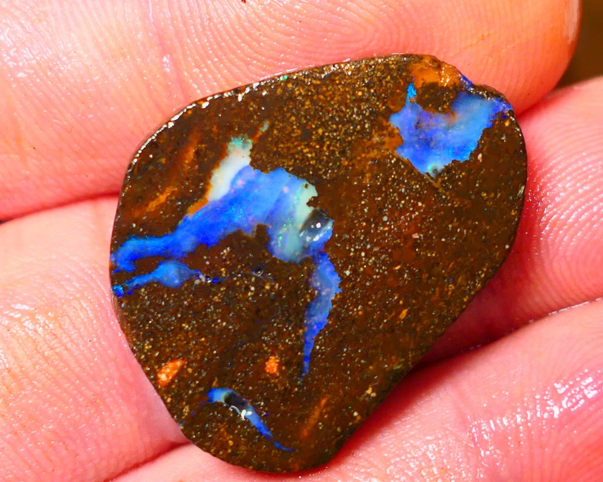 Queensland Boulder / Matrix opal 25cts rough/rub Winton Bright Blue fires showing in a vein 29x23x4mm ALP010