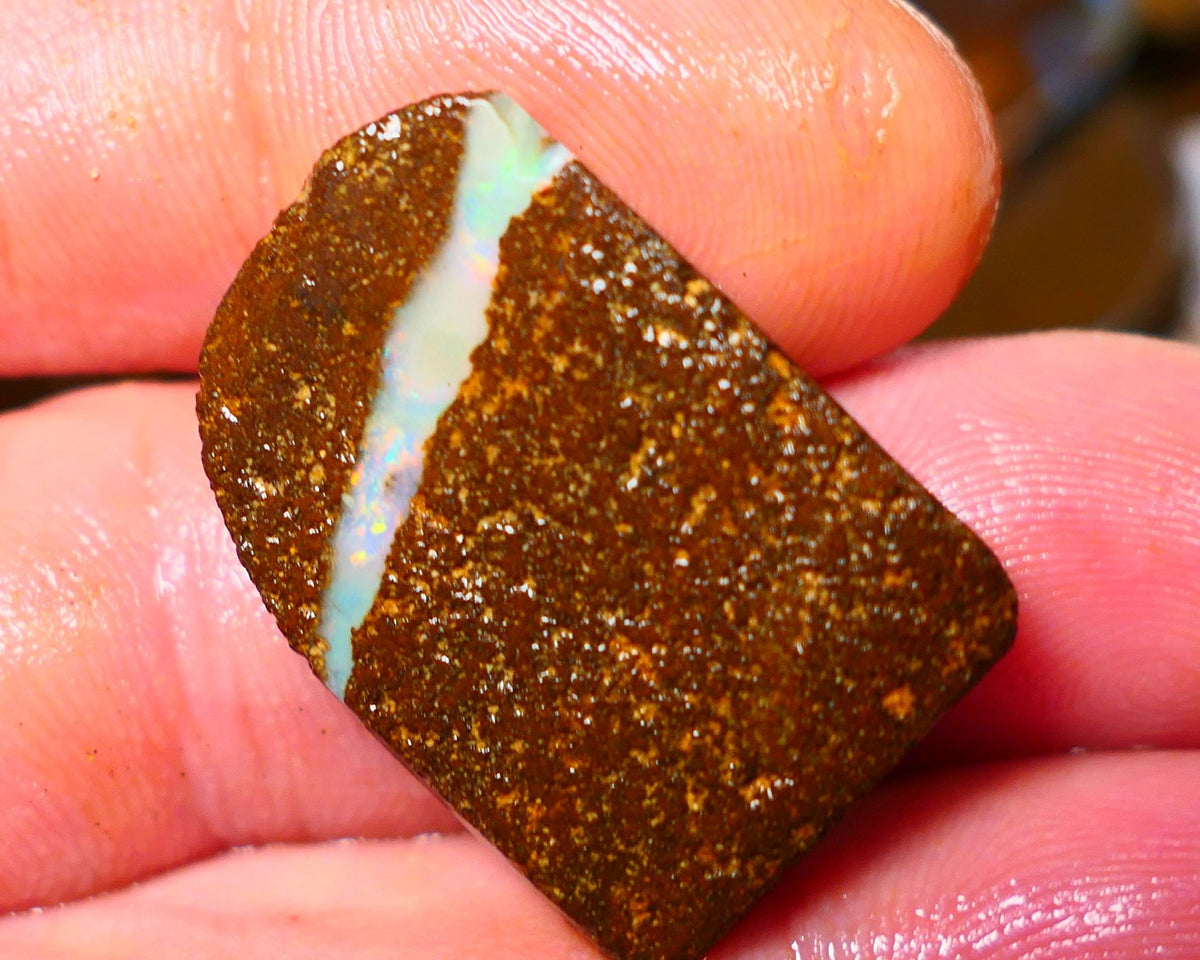 Queensland Boulder / Matrix opal 35cts rough/rub Winton Flashes of Orange fires showing in a vein ALP013