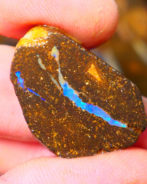 Queensland Boulder / Matrix opal 35cts rough/rub Winton Bright Green & Blue fires showing in a vein 29x20x5mm ALP012