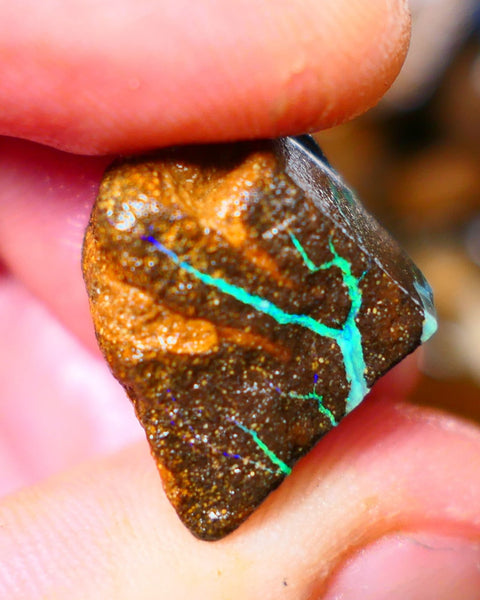 Queensland Boulder / Matrix opal 25cts rough Winton Bright Green Blue fires showing to cut 16x15x11mm ALP008