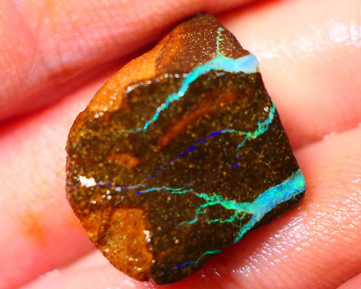 Queensland Boulder / Matrix opal 25cts rough Winton Bright Green Blue fires showing to cut 16x15x11mm ALP008