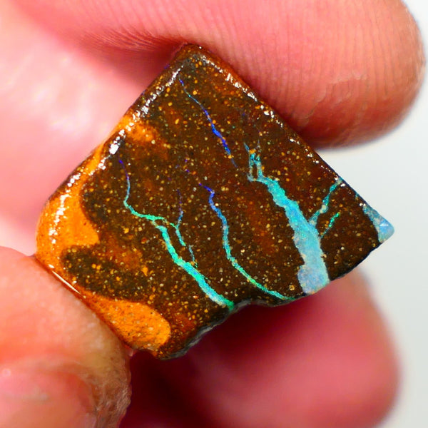 Queensland Boulder / Matrix opal cts rough Winton Bright Green/Blue fires in the veins to cut ALP0