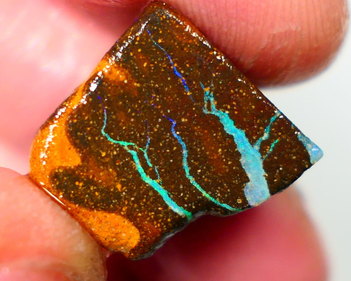 Queensland Boulder / Matrix opal cts rough Winton Bright Green/Blue fires in the veins to cut ALP0