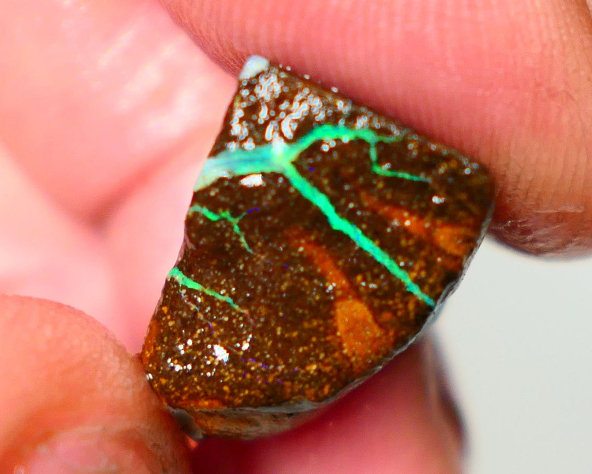 Queensland Boulder / Matrix opal cts rough Winton Bright Green/Blue fires in the veins to cut ALP0