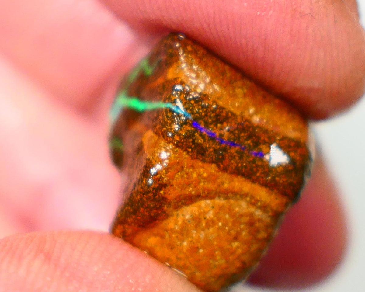 Queensland Boulder / Matrix opal cts rough Winton Bright Green/Blue fires in the veins to cut ALP0