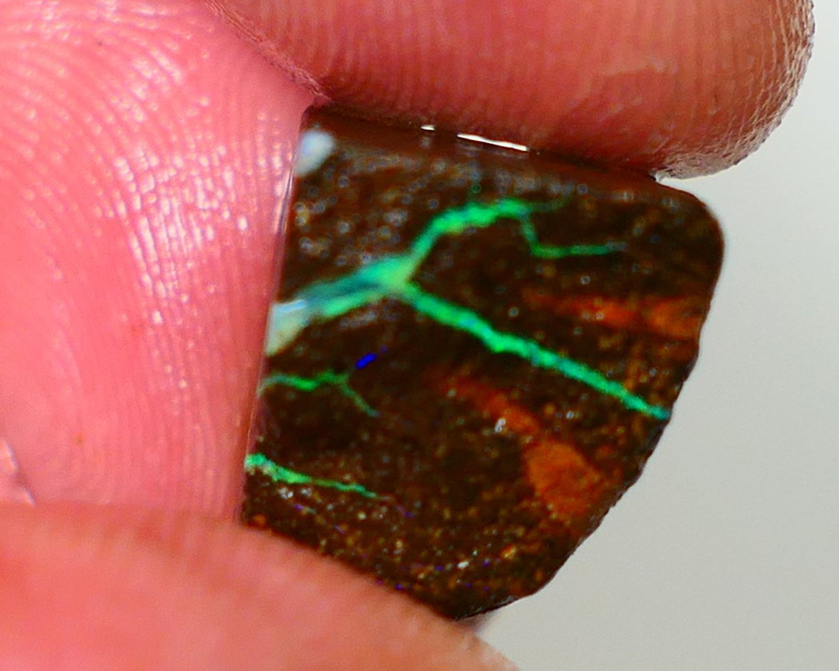 Queensland Boulder / Matrix opal cts rough Winton Bright Green/Blue fires in the veins to cut ALP0