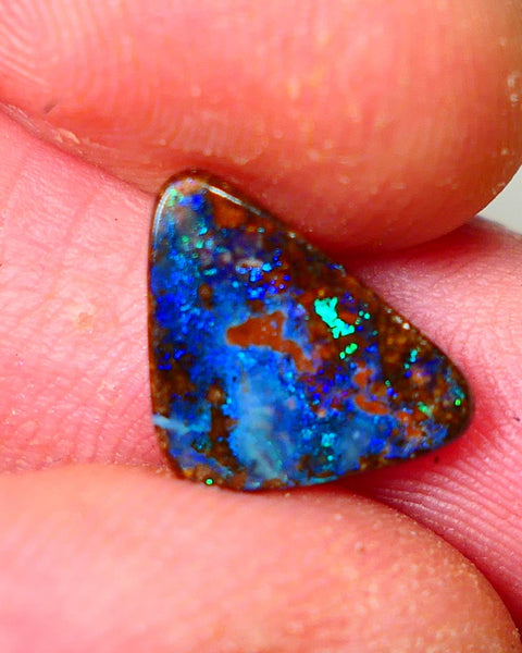 Queensland Boulder opal Polished Gemstone cts  Winton Bright Blue/Green fires showing Weekly Deal 2