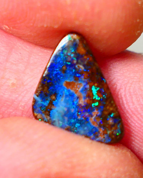 Queensland Boulder opal Polished Gemstone cts  Winton Bright Blue/Green fires showing Weekly Deal 2