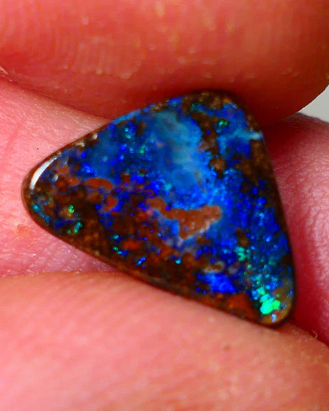 Queensland Boulder opal Polished Gemstone cts  Winton Bright Blue/Green fires showing Weekly Deal 2